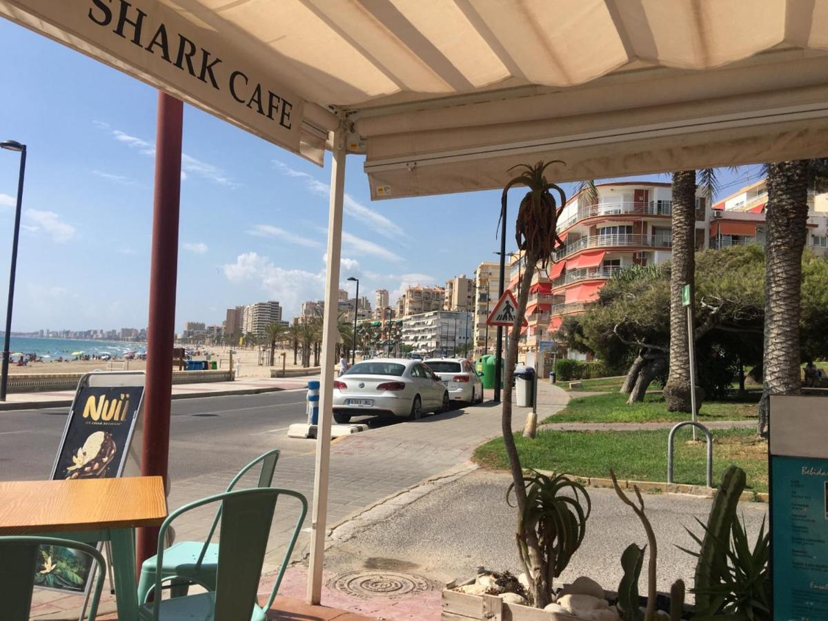 Ferienwohnung Atico Playa Muchavista - El Campello Alicante Exterior foto